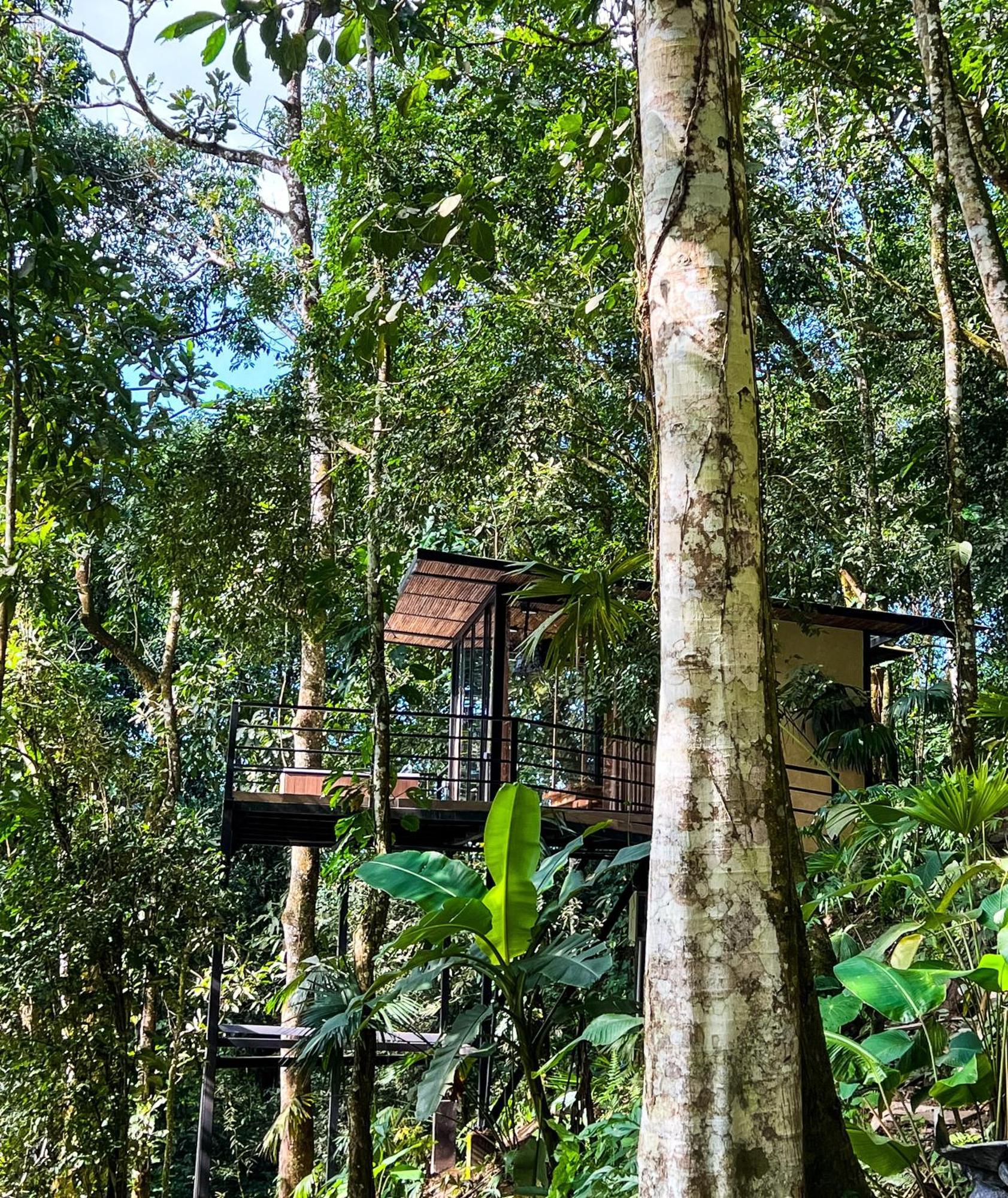 Rincon De La Sierra Minca Exterior foto